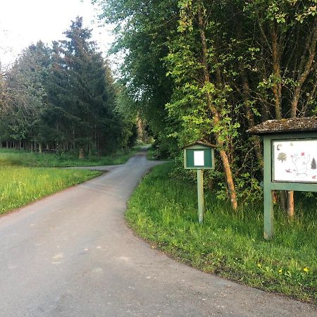 Big Ben'S Guesthouse Müllenbach المظهر الخارجي الصورة
